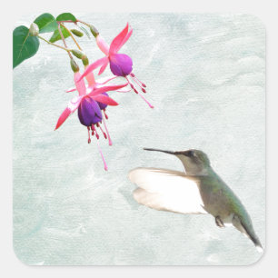 Sticker Carré Colibri et Fuschia