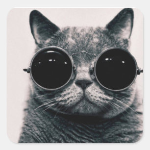Sticker Carré Colle carrée - Chat de Lunettes