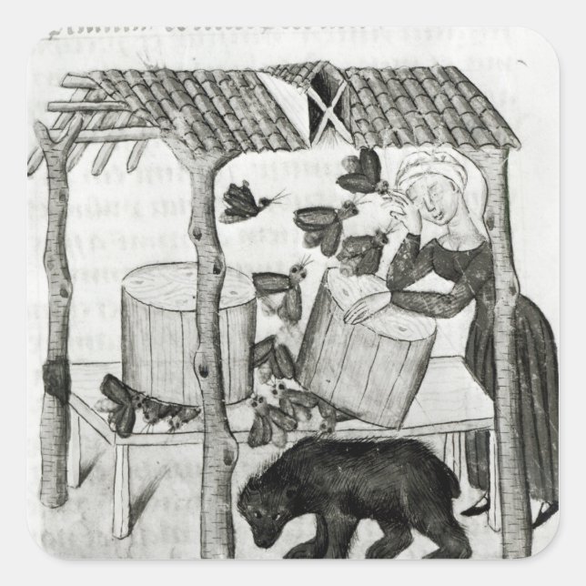 Sticker Carré Collecte de miel (Devant)