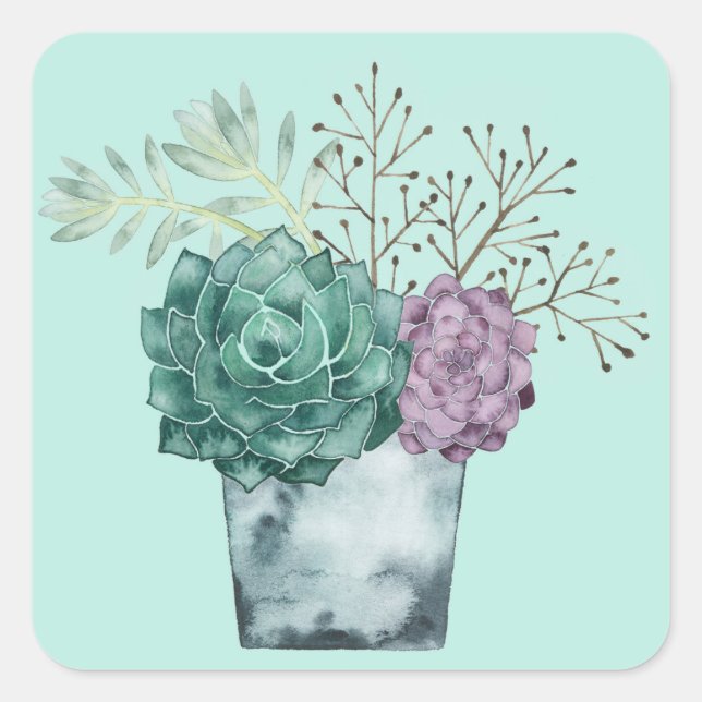 Sticker Carré Collection plante Happy | Succulents (Devant)