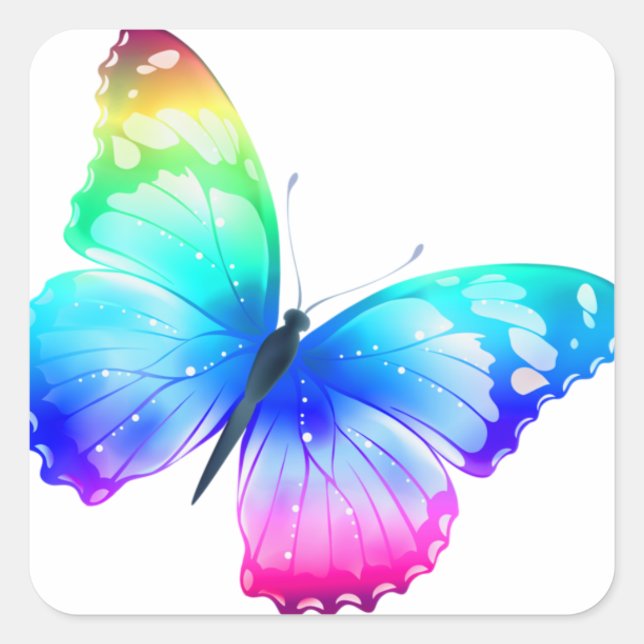 Sticker Carré Colorful Butterfly (Devant)
