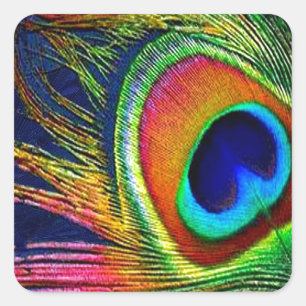 Sticker Carré Colorful Peacock Feather