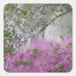 Sticker Carré Composite numérique d'azalées et d'arbre magnolia