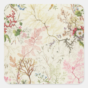 Sticker Carré Conception d'algue pour le matériel en soie (la