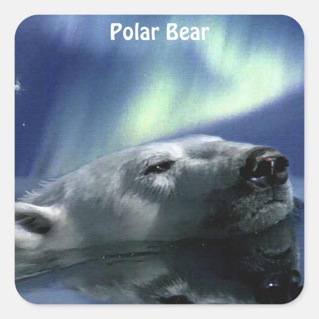 Sticker Carré Conception de l'ours pour les animaux et les anima (Devant)