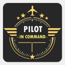 Conception de mug pour pilote d'aviation personnal