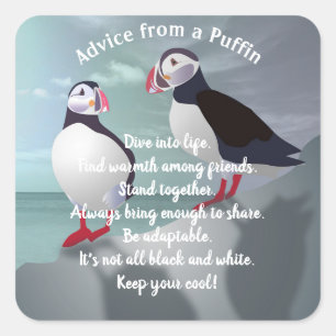 Sticker Carré Conception de Puffins