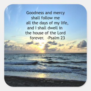 STICKER CARRÉ CONCEPTION PHOTO DU 23E PSALM SLEVER