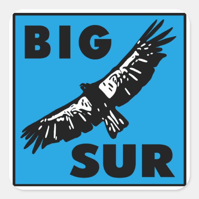 Sticker Carré Condor bleu (Devant)