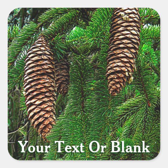 Sticker Carré Cônes Et Aiguilles (Devant)