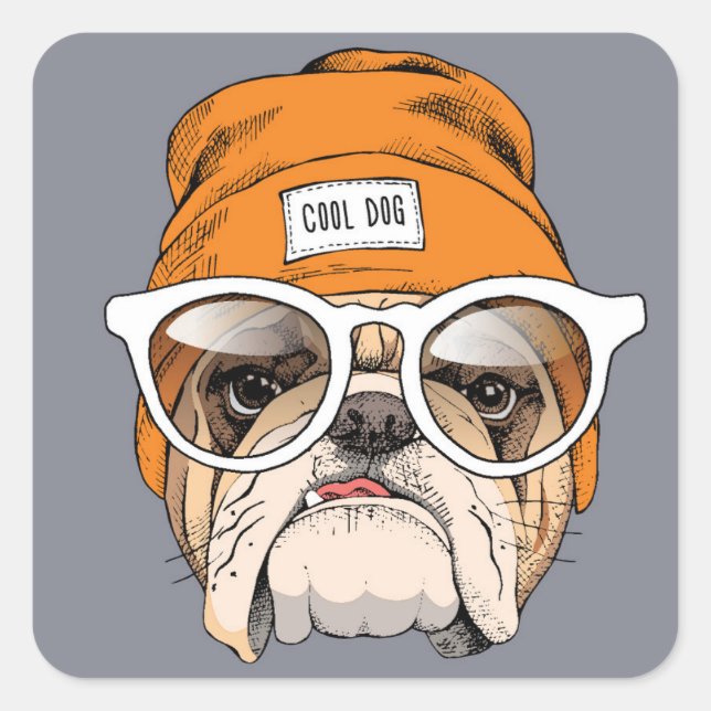 Sticker Carré Cool Hipster Bulldog (Devant)