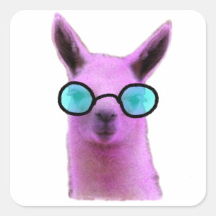 Sticker Carré Cool Pink Llama !