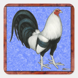 Sticker Carré Coq de combat encadré