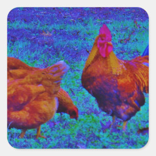 Sticker Carré Coq et poules arc-en-ciel, bleu électrique
