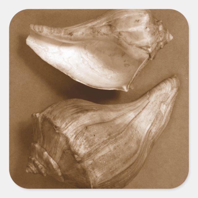 Sticker Carré Coques sensuelles (Devant)