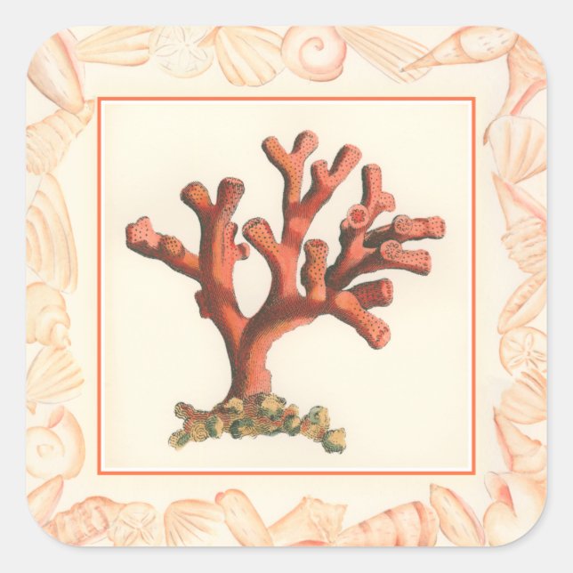 Sticker Carré Corail rouge avec bordure conique (Devant)