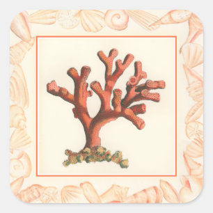 Sticker Carré Corail rouge avec la frontière de Shell de conque