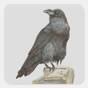 Sticker Carré Corbeau