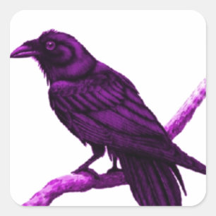 Sticker Carré Corbeau en violet cadeaux de Sharles