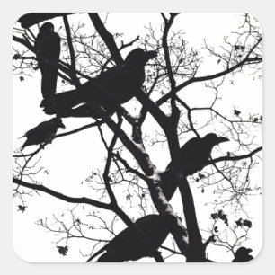 Sticker Carré Corbeaux noirs