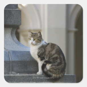 Sticker Carré cordoba, argentine