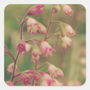 Sticker Carré Corelbells, Fleurs de printemps