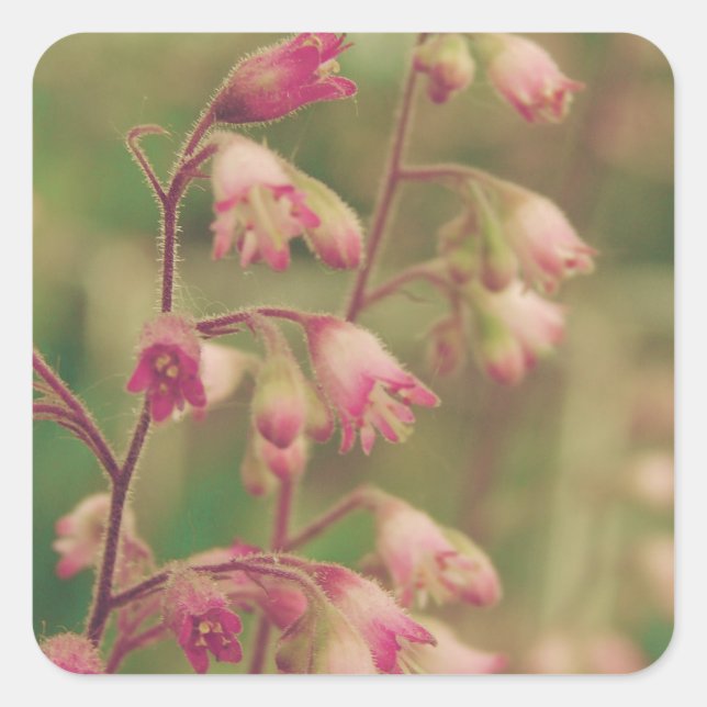 Sticker Carré Corelbells, Fleurs de printemps (Devant)