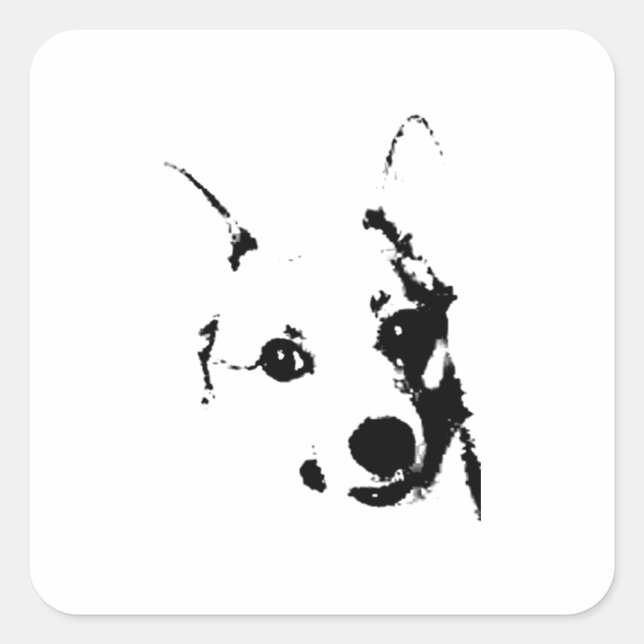 Sticker Carré Corgi Chien noir et blanc - croquis (Devant)
