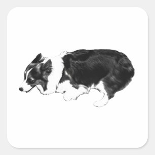 Sticker Carré Corgi rapide, sourire de poche