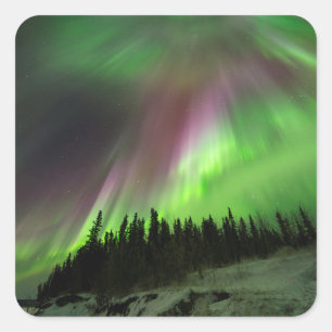 Sticker Carré Corona Aurora