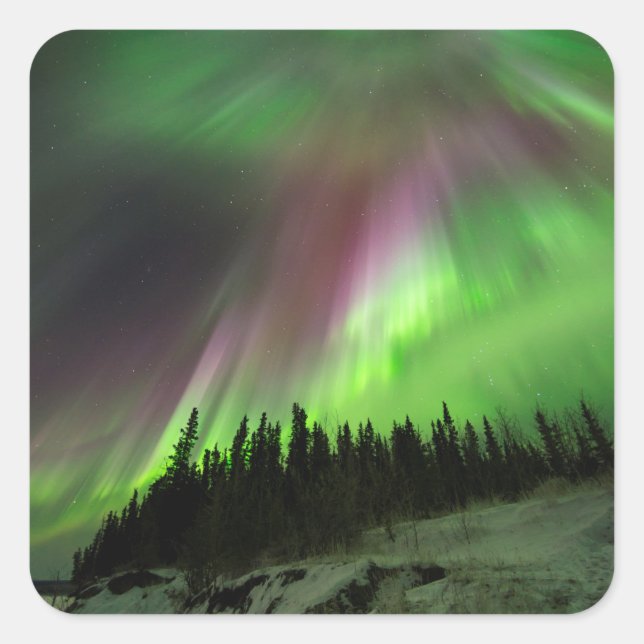 Sticker Carré Corona Aurora (Devant)