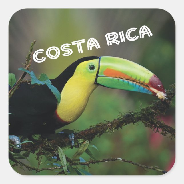 Sticker Carré Costa Rica avec Toucan coloré (Devant)
