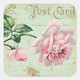 Sticker Carré Cottage floral élégant de roses roses vintages