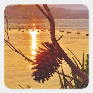 Sticker Carré Coucher de soleil du lac Pinecone