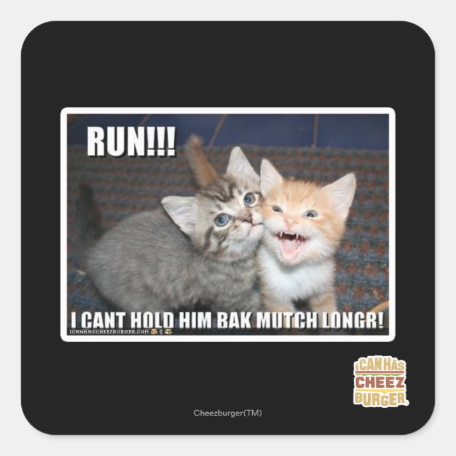 STICKER CARRÉ COULE ! ! ! (Devant)