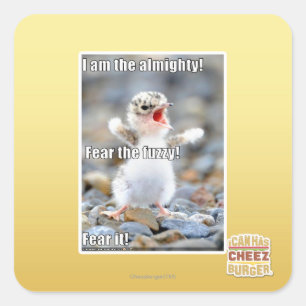 Sticker Carré Craignez le brouillé !