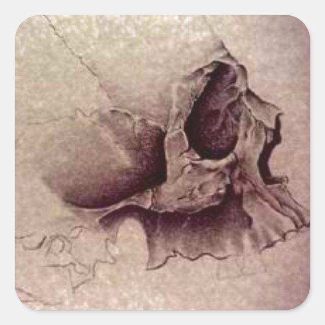 Sticker Carré crâne (Devant)