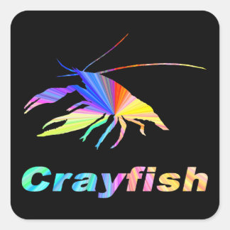 Sticker Carré Crayfish-24