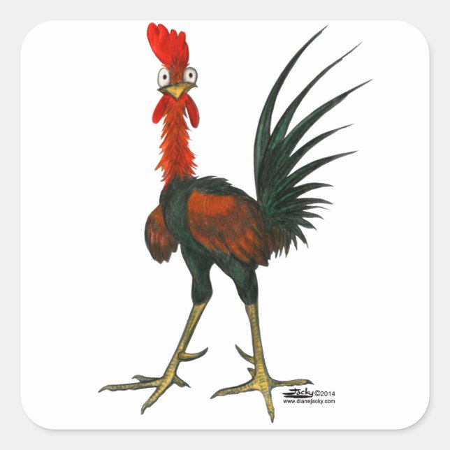Sticker Carré Crazy rooster (Devant)