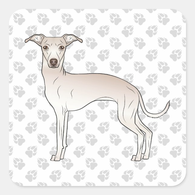 Sticker Carré Crème Italien Greyhound Cute Dessin Chien Avec Pat (Devant)