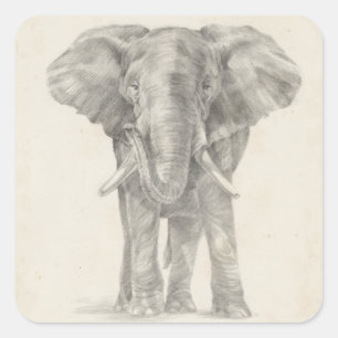 Sticker Carré Croquis éléphant