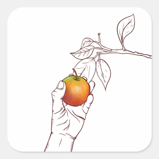 Sticker Carré cueillir une pomme (Devant)