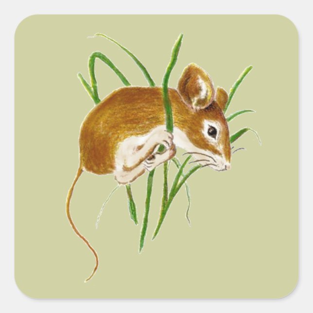 Sticker Carré Cuire, Souris Aquarelle Animal Nature (Devant)