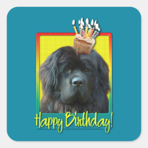 Sticker Carré Cupcake anniversaire - Terre-Neuve