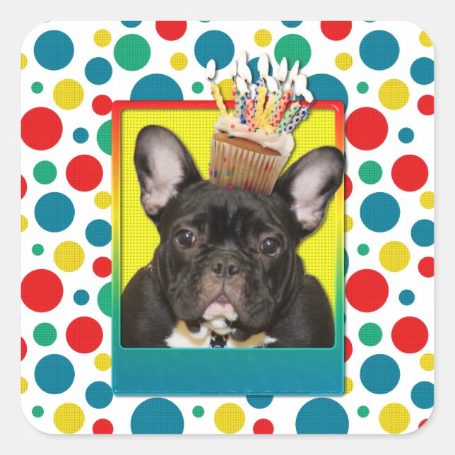 Sticker Carré Cupcake d'anniversaire - Chien de taureaux françai (Devant)