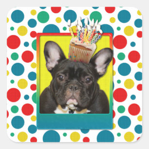 Sticker Carré Cupcake d'anniversaire - Chien de taureaux françai