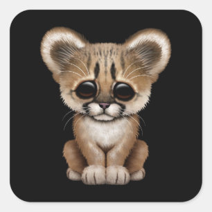 Sticker Carré Cute Baby Cougar Cub sur Noir