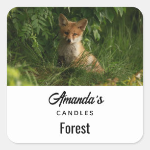 Sticker Carré Cute Baby Fox dans une forêt verte Bougie Business