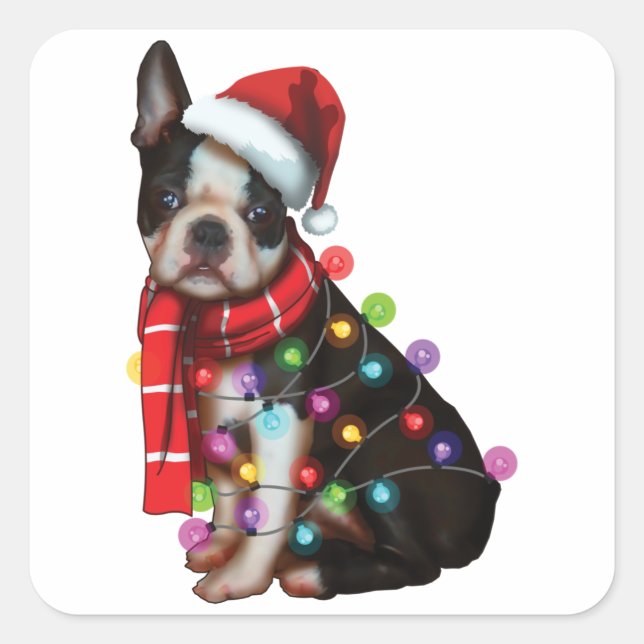 Sticker Carré Cute Boston Terrier Chien Funny Noël Joyeux Noël (Devant)