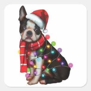Sticker Carré Cute Boston Terrier Chien Funny Noël Joyeux Noël